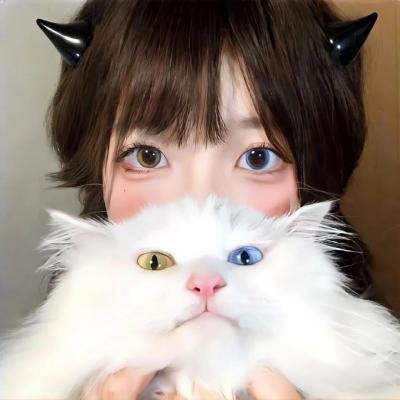 猫的葬礼